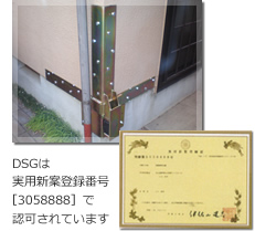 DSGは実用新案登録番号[3058888]で認可されています。